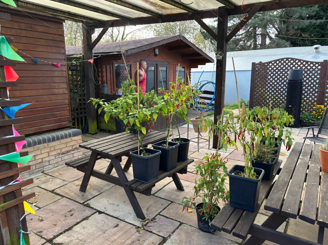 Edible Ornamentals-Chawston必去景点