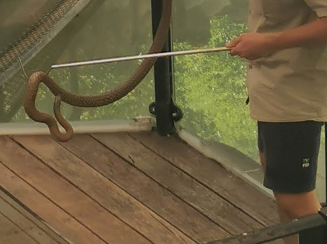 Hartley's Crocodile Adventures-Wangetti必去景点