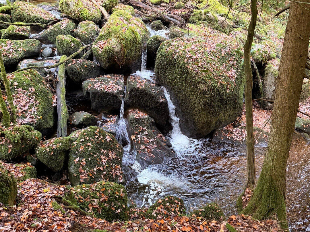 Becky Falls-Manaton必去景点