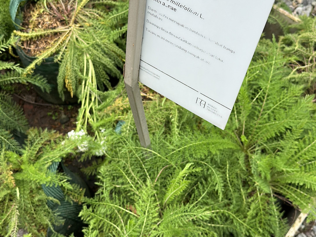 Rumah Atsiri Indonesia-Tawangmangu必去景点