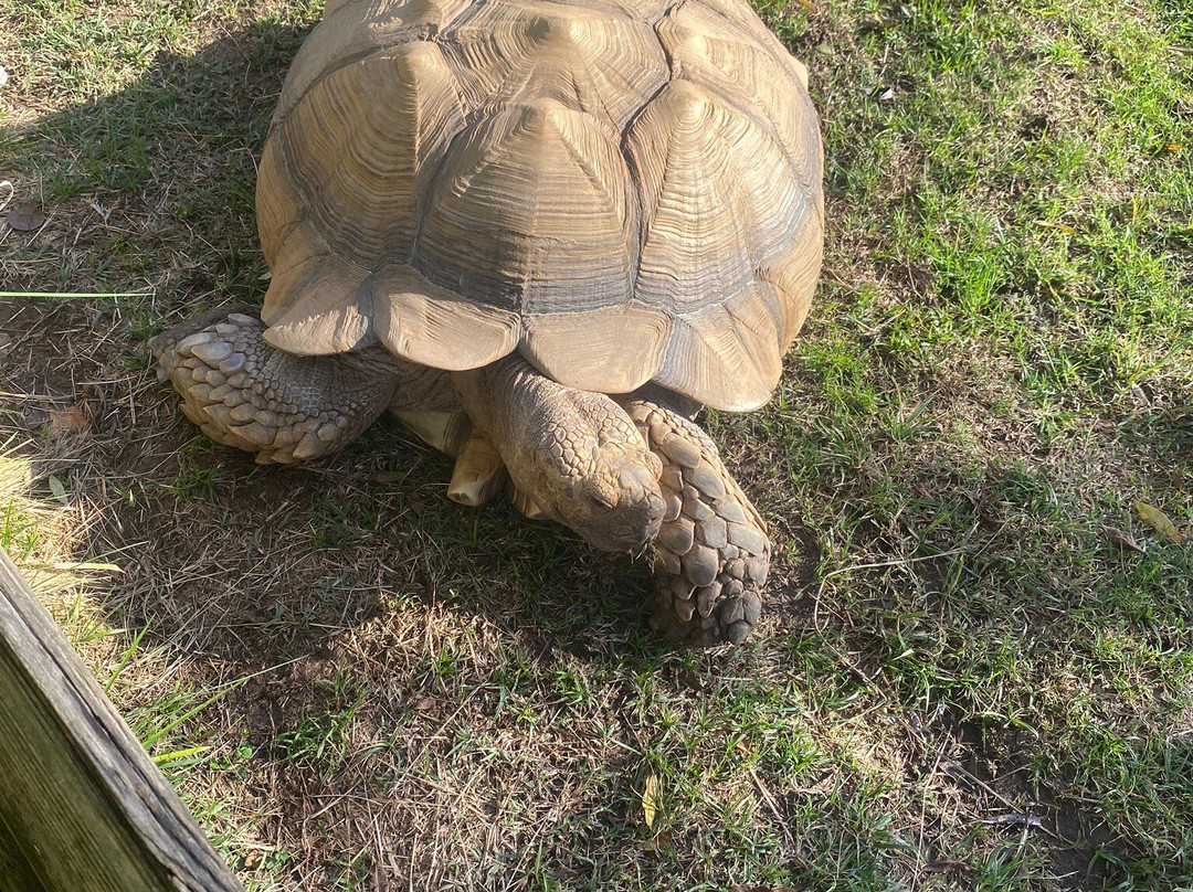 Zoo de Mescoules-Mescoules必去景点