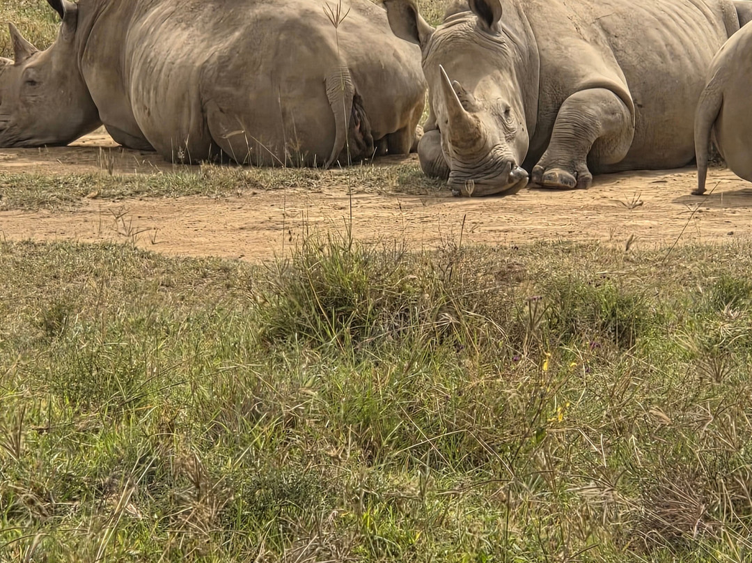 Super Africa Wildlife And Adventure Safaris-Kisii必去景点