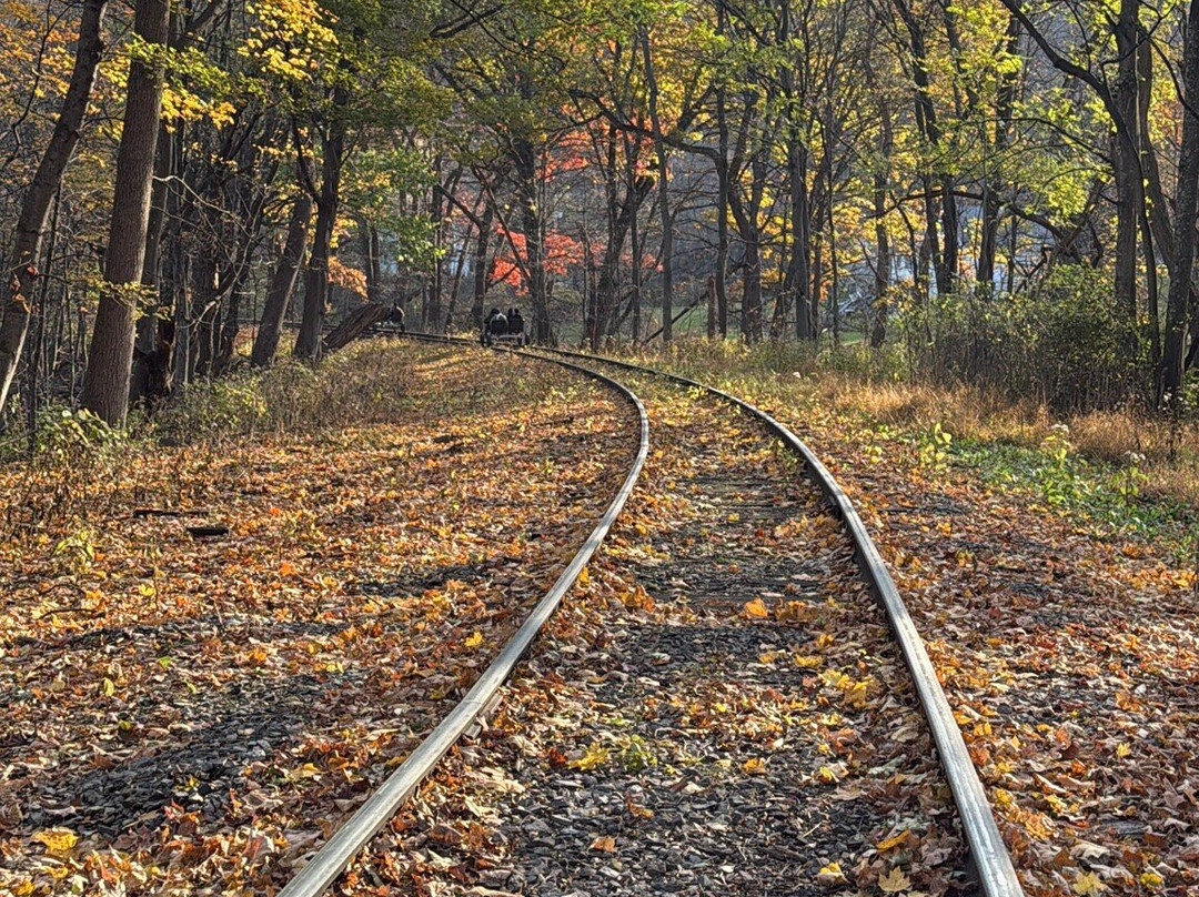 Tracks and Yaks-弗罗斯特堡必去景点