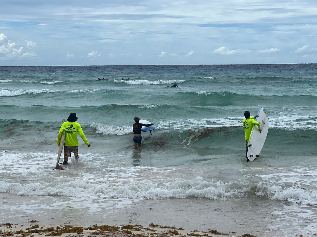 Dread or Dead Surf Shop-Hastings必去景点
