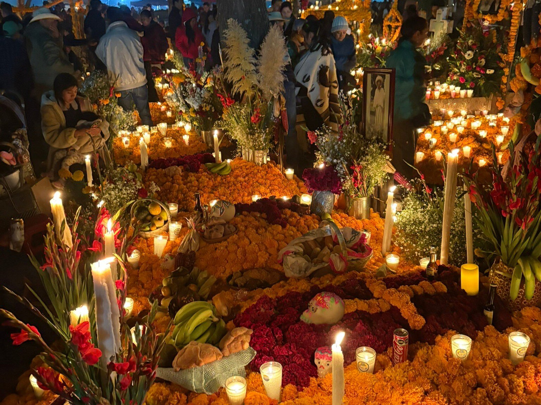 Experience Mex-ECO Tours-Melaque必去景点