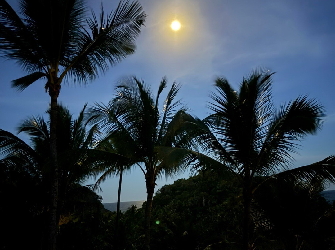 Itacare Eco Resort主图