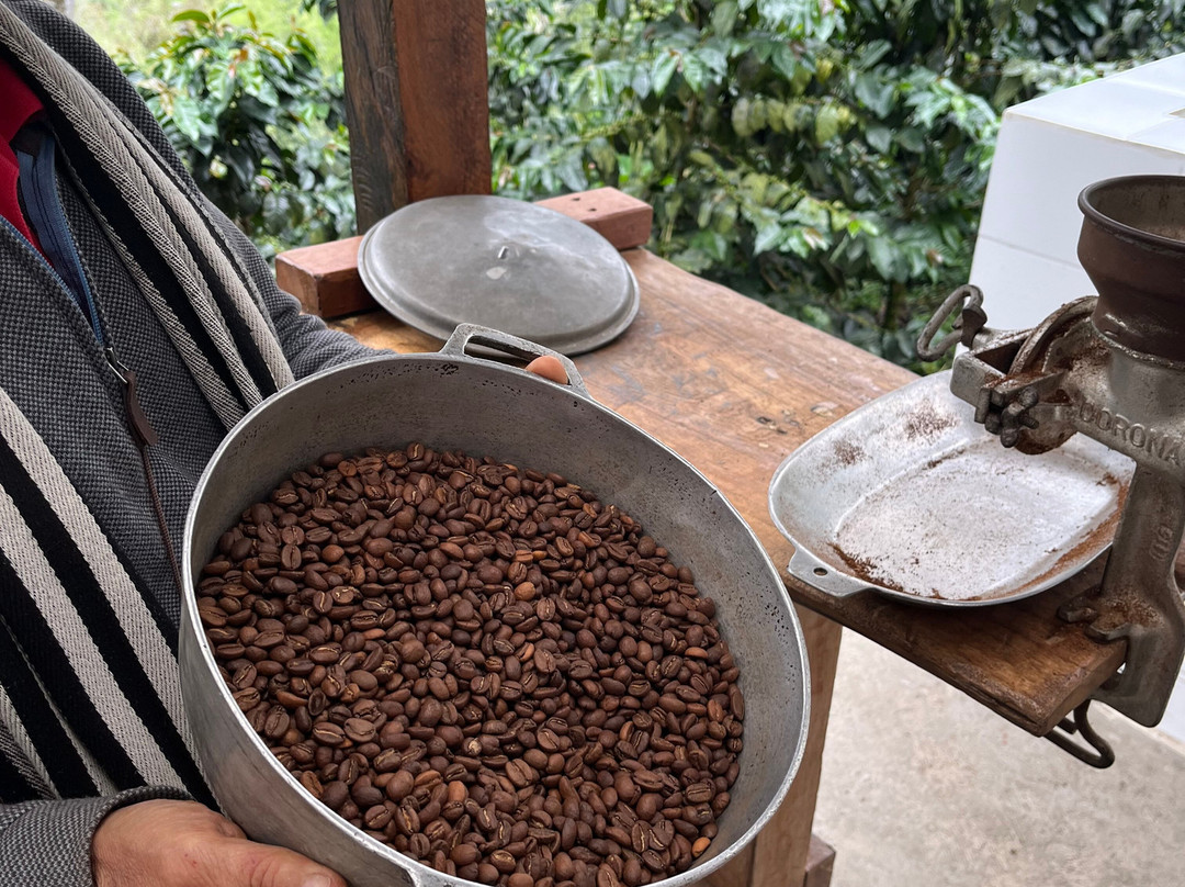 Finca Cafetera Don Elias-萨伦托必去景点