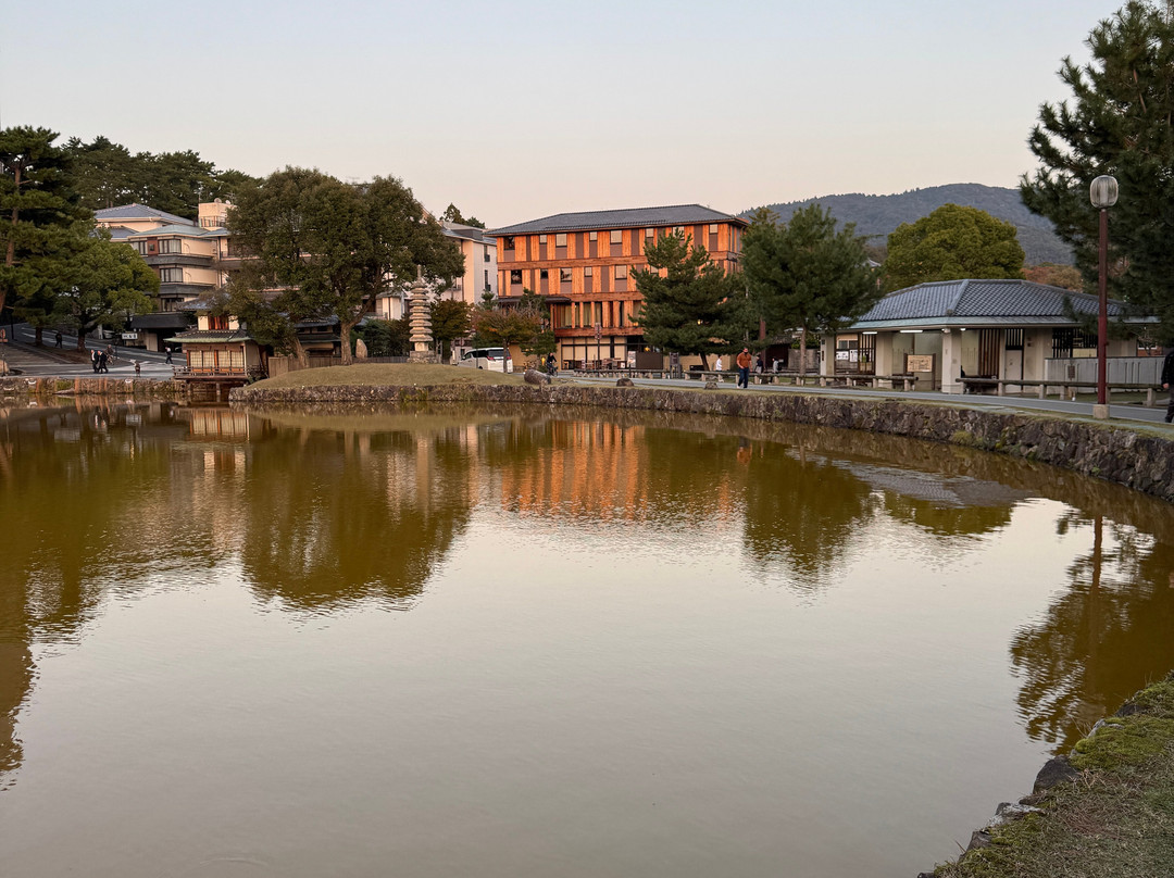Sarusawa Pond-奈良市必去景点