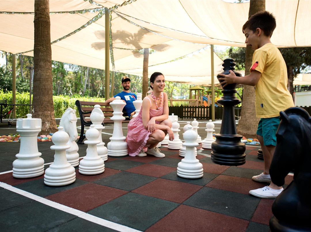 Arum Barut Collection