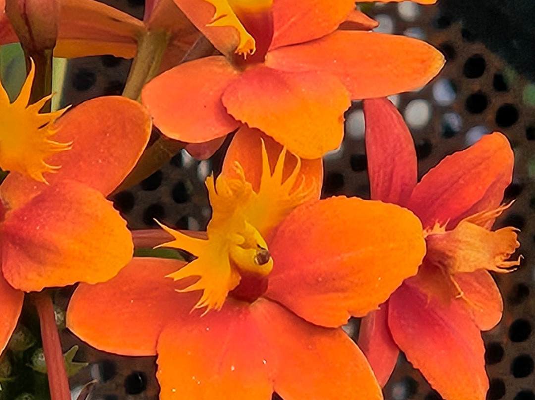 Alma del Bosque-La Ceja必去景点