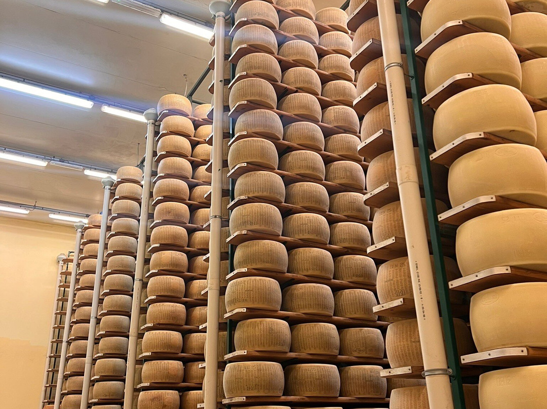 Azienda Agricola Bertinelli-Medesano必去景点