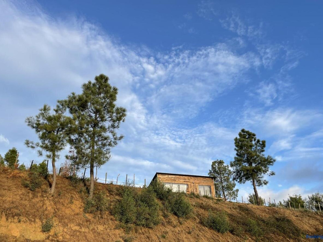 Quinta Da Pedrulha