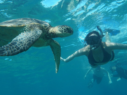 Tropical Guides & Outfitters-毛伊岛必去景点