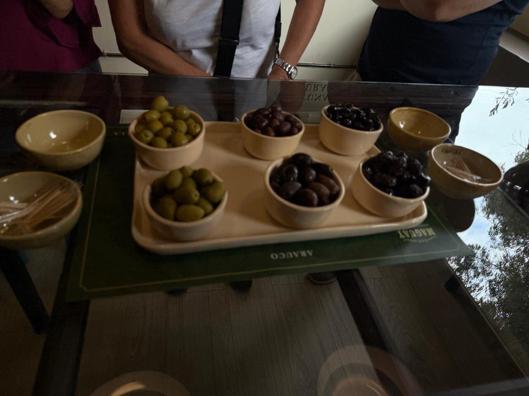 Olivicola Maguay-Maipu必去景点