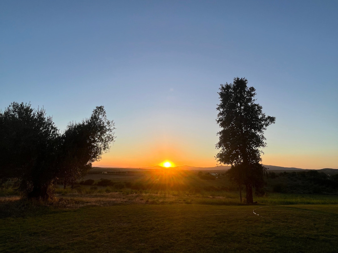 Il Poggio di Musignano