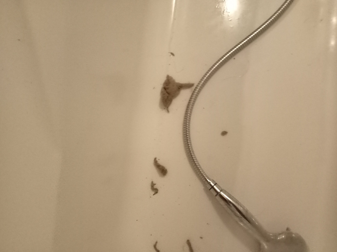 Mozzanica酒店住宿-Le Residenze Del Tenore