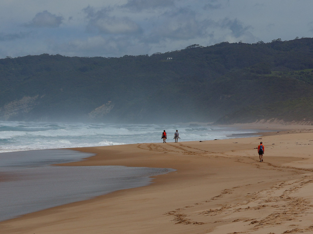 AllTrails Tours-墨尔本必去景点