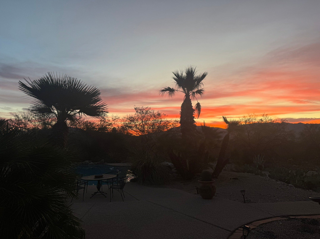 Cactus Cove Bed and Breakfast Inn主图