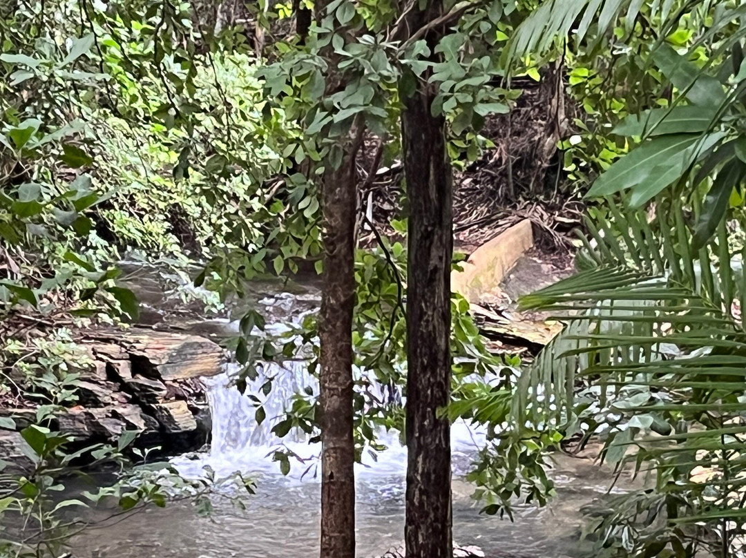 Berry Springs Nature Park-达尔文市必去景点