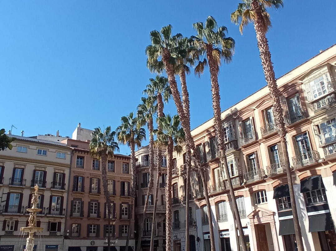 Plaza de la Constitucion-马拉加必去景点