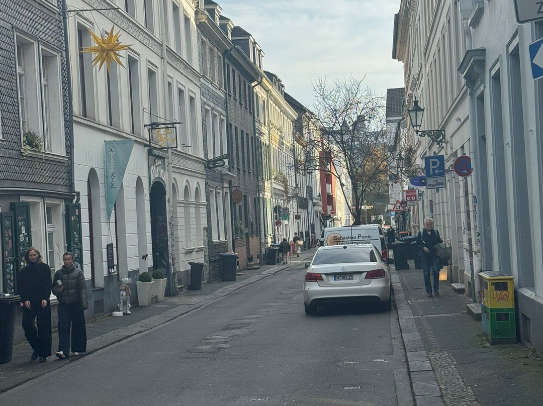 Luisenviertel-伍珀塔尔必去景点