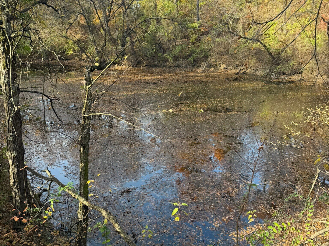 Wilderness Park-Pittsburg必去景点