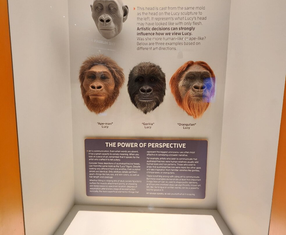 Creation Museum-Petersburg必去景点