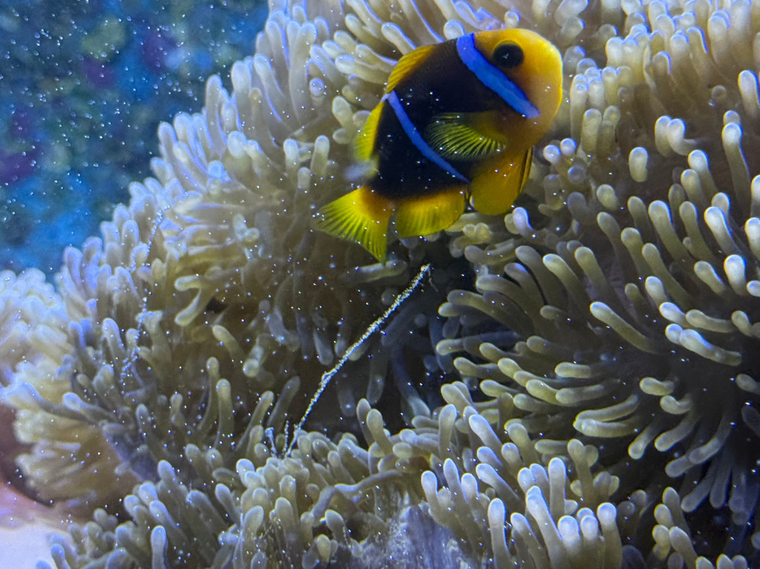 Te Fare Natura-帕佩托艾必去景点