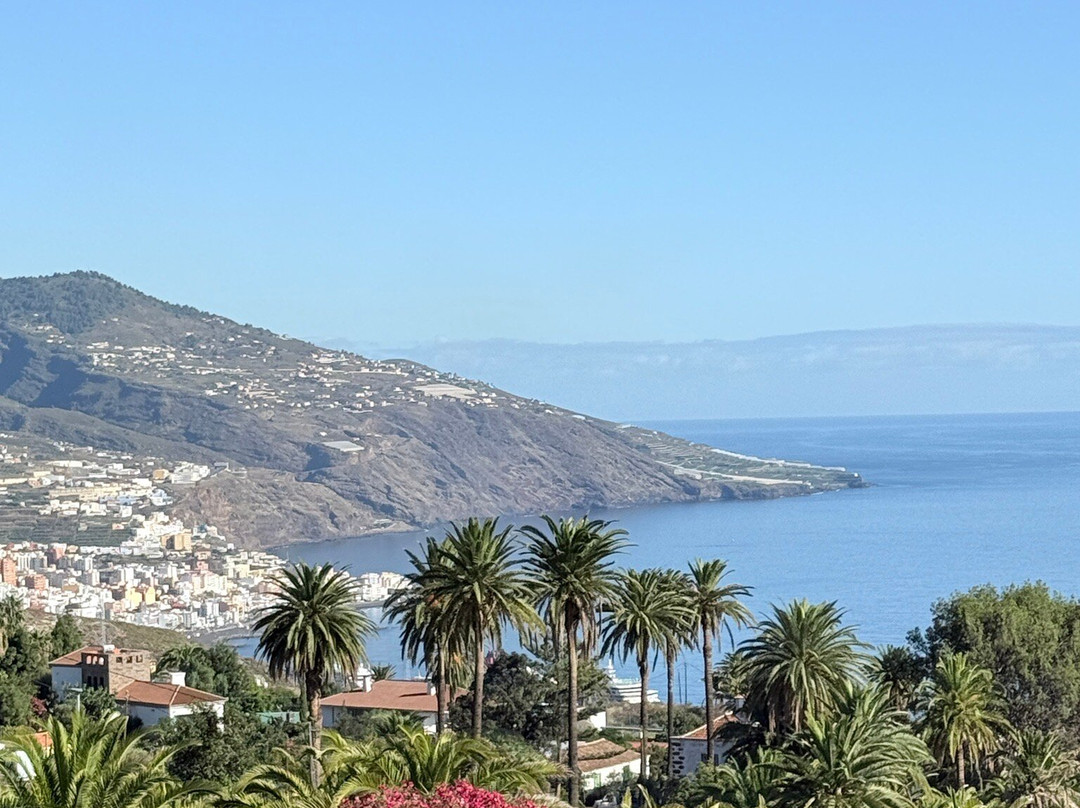 棕榈树旅馆主图