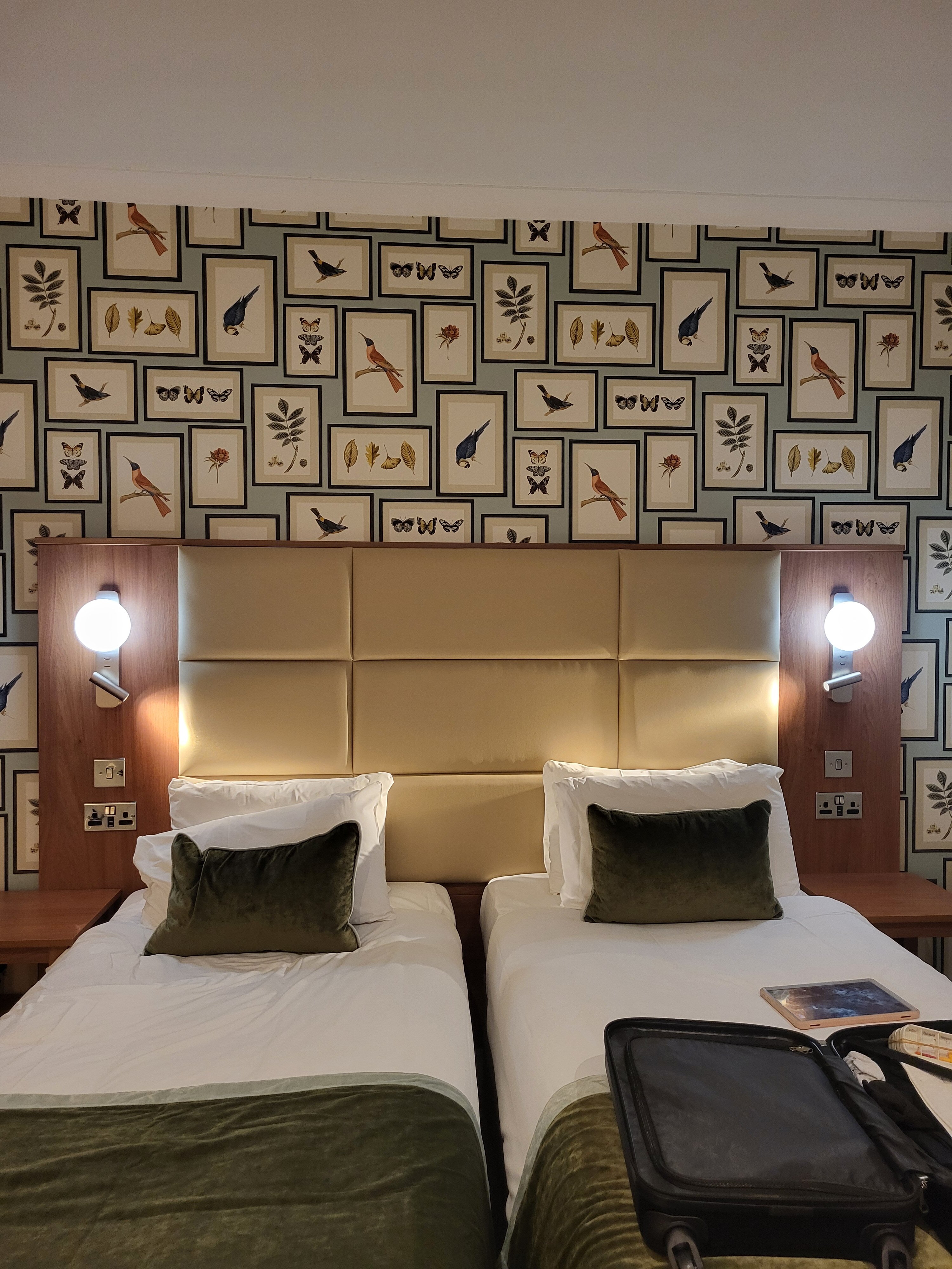 Potters Resorts Five Lakes-客卧