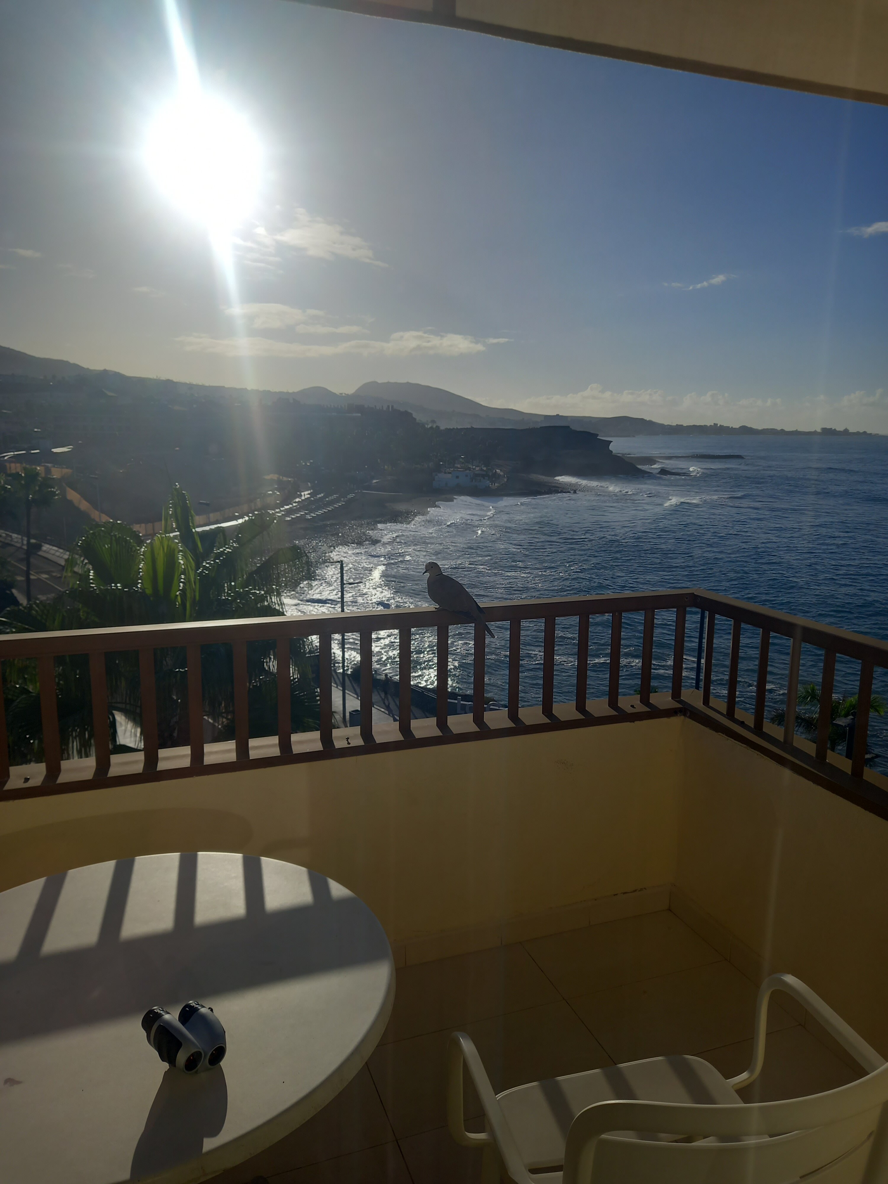 HOVIMA Jardin Caleta-官方