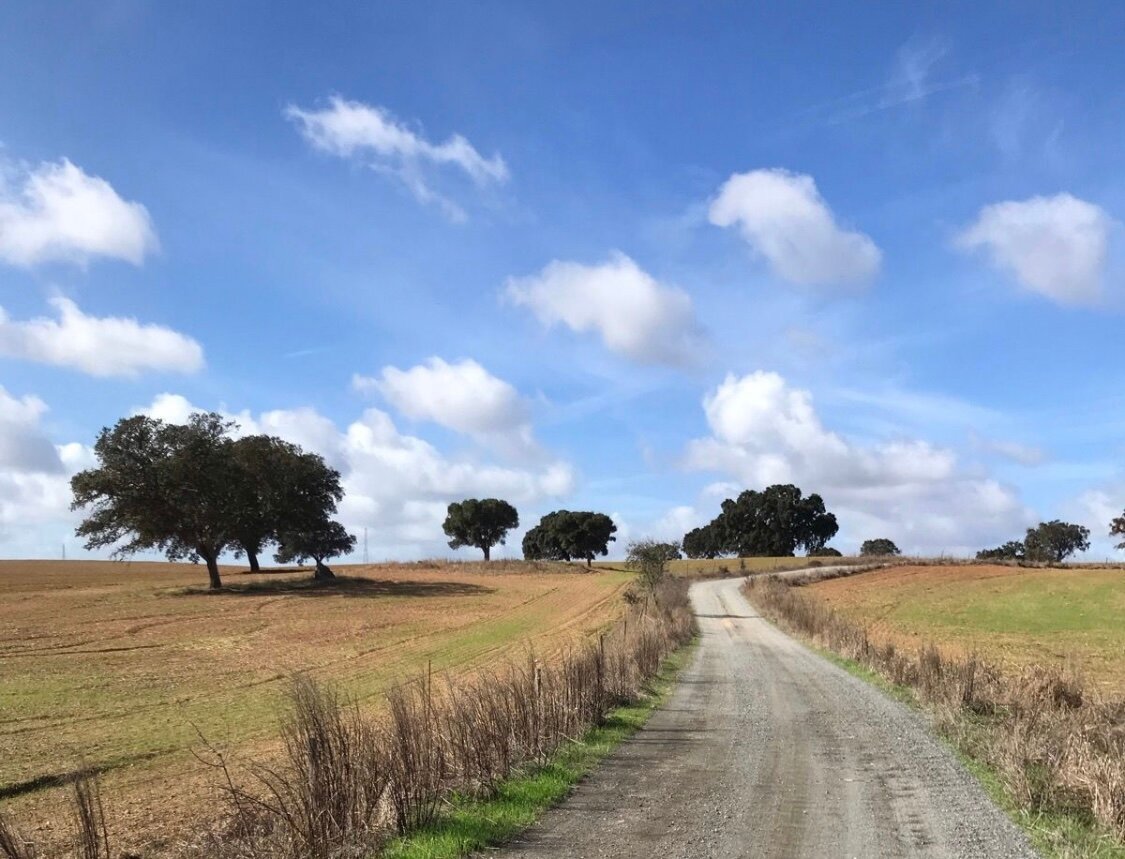 Monte da Ameixa Country House-官方