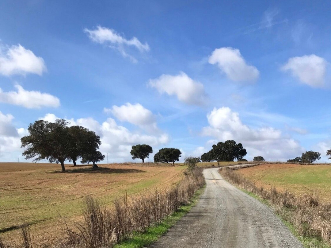 Almodovar酒店住宿-Monte da Ameixa Country House