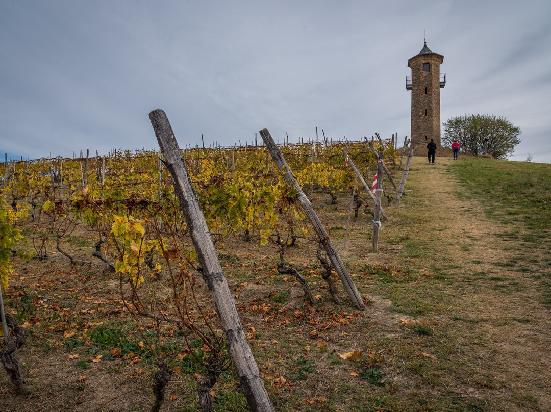 Torre dei Contini-Canelli必去景点