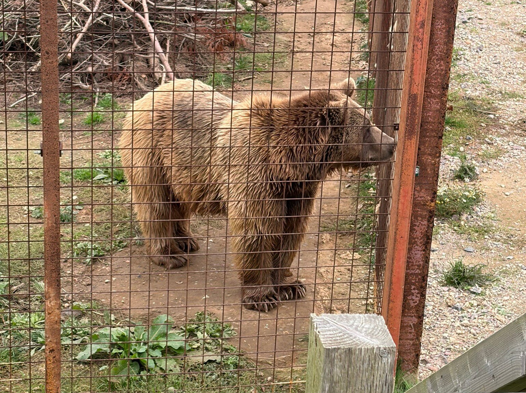 怀特岛动物园-桑当必去景点