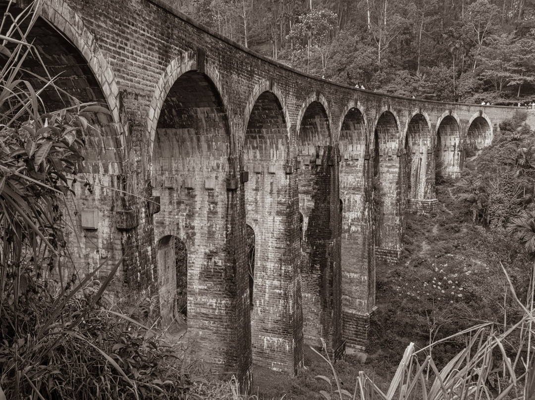 Harrysuni Tours-尼甘布必去景点