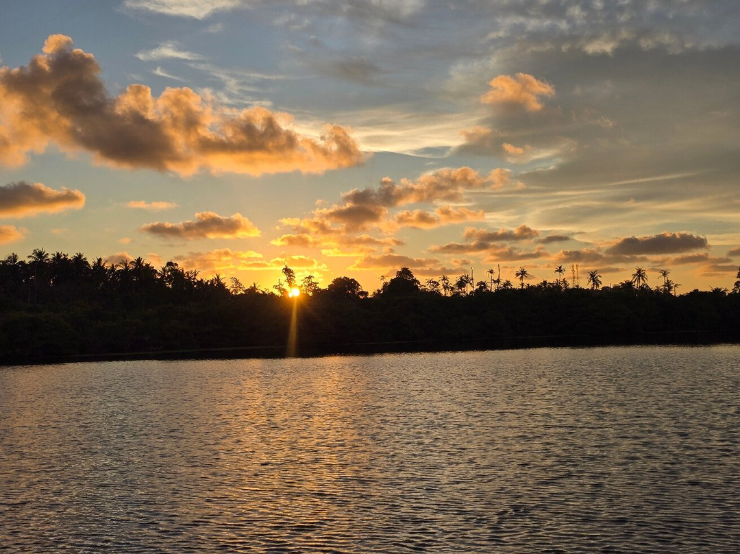 Mirissa Eco Lagoon Safari-美蕊沙必去景点