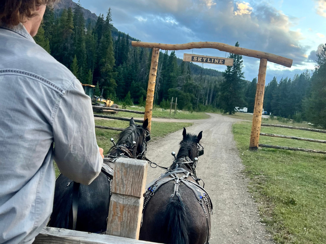 Skyline Guest Ranch and Guide Service主图