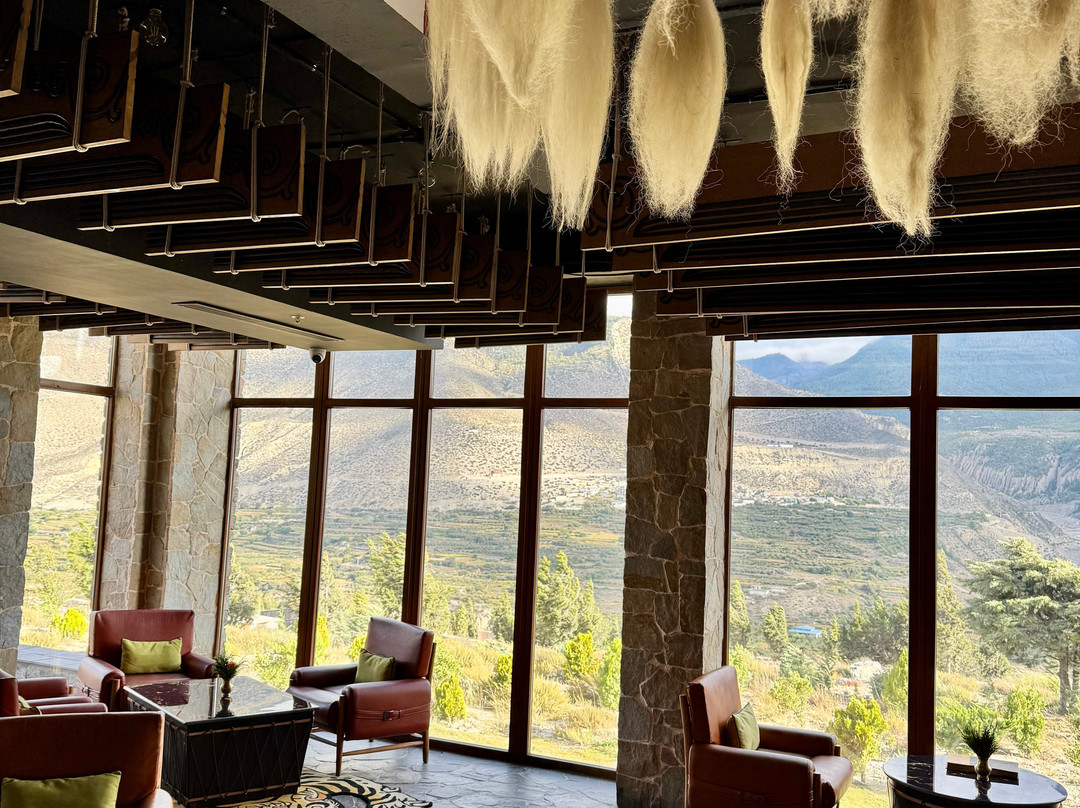 Shinta Mani Mustang主图