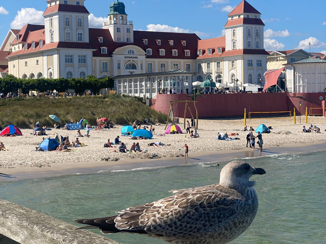 Seebrucke Binz-奥茨巴德宾兹必去景点