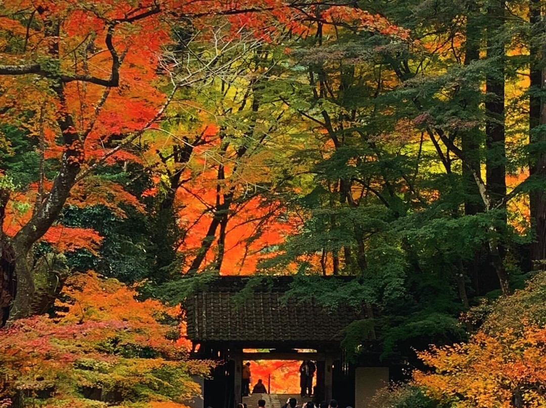 Koran Valley-丰田市必去景点