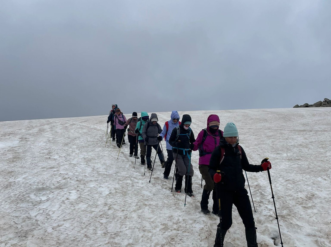 GirlsTrek-布里斯班必去景点