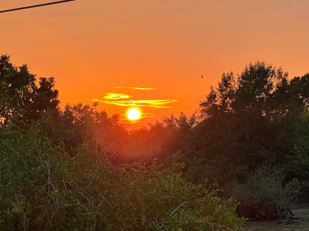 Yala Lahiru Safari-蒂瑟默哈拉默必去景点