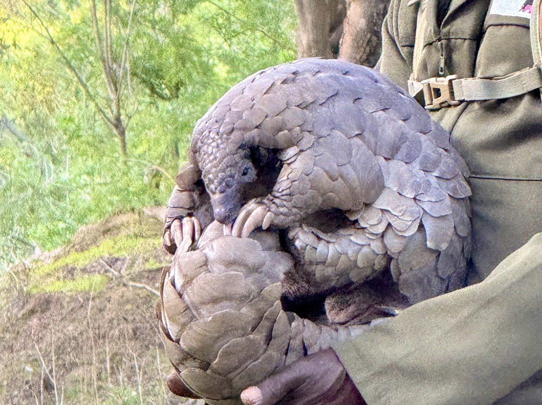 Wild Is Life-哈拉雷必去景点