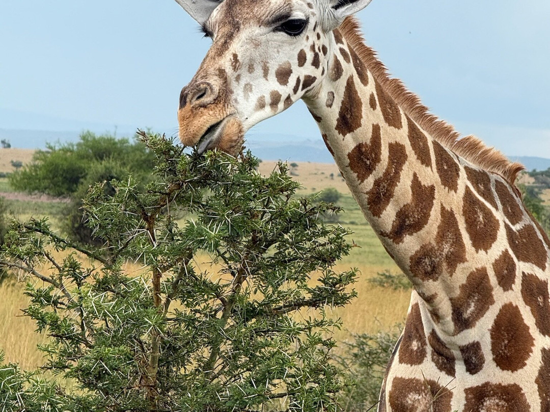 Insight Safari Holidays-Kanungu必去景点