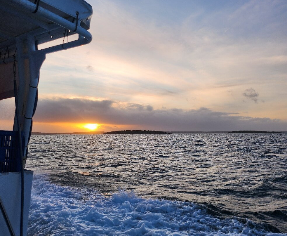 Calypso Star Charters-Port Lincoln必去景点