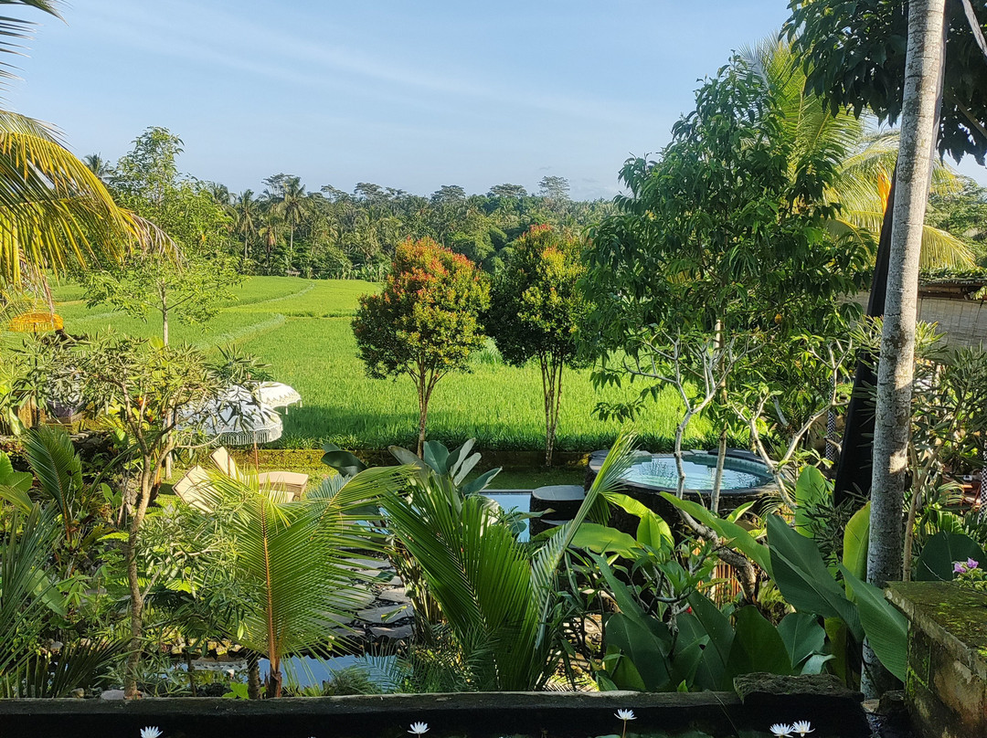 The Nenggala Suite主图