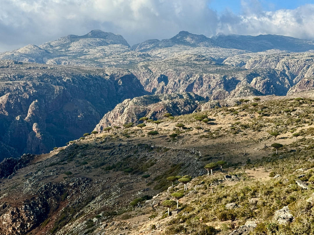 Embrace Socotra-Hadiboh必去景点