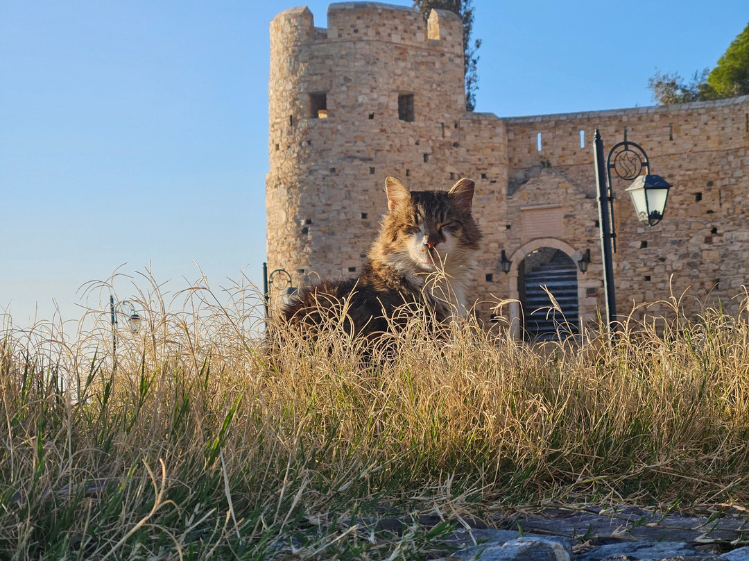 Kusadasi Castle-库萨达斯必去景点