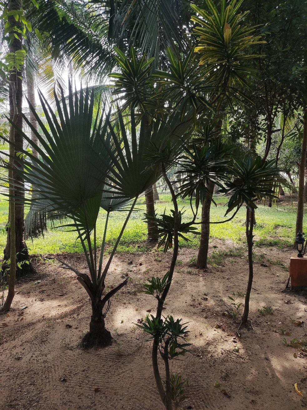 Meiveda Ayurveda Beach Resort-官方